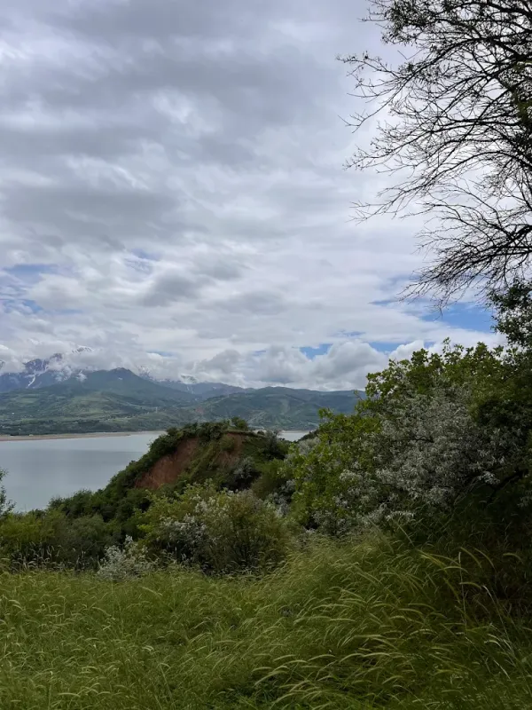 Дача Чарвак