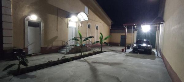 Sam Greenhouse Hostel