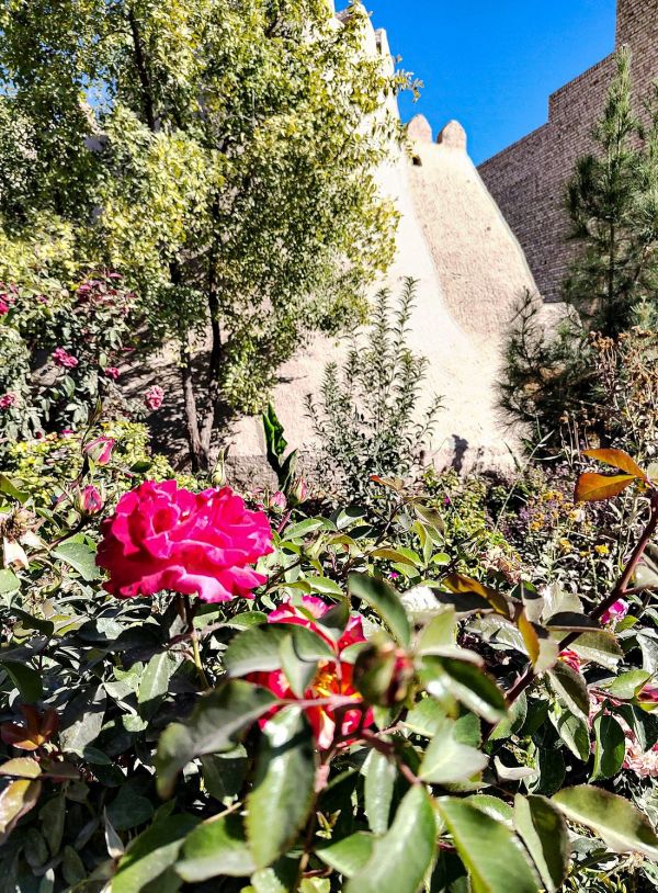 Khiva Angarik Darvoza