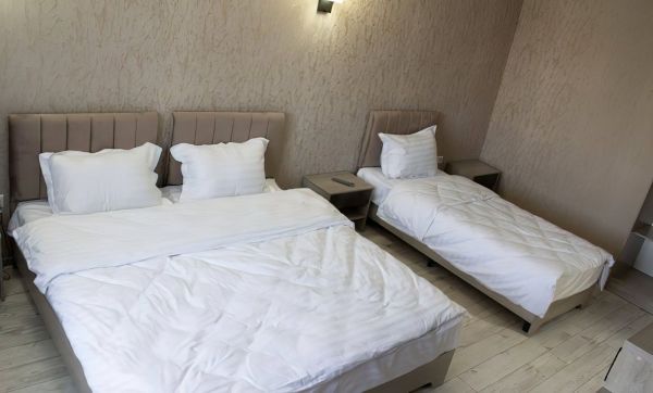 Отель Central Asia