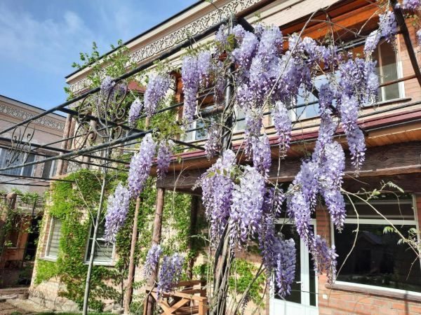 Бутик-отель Пан Азиат