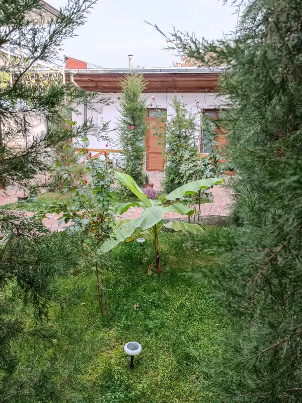 Maya Hotel