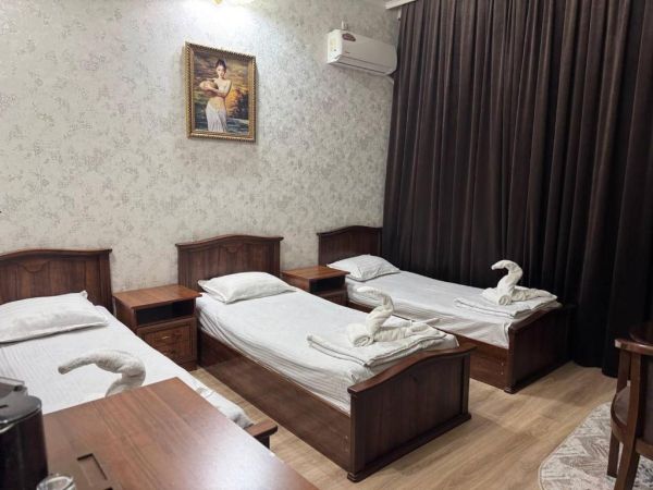 Hotel Anor