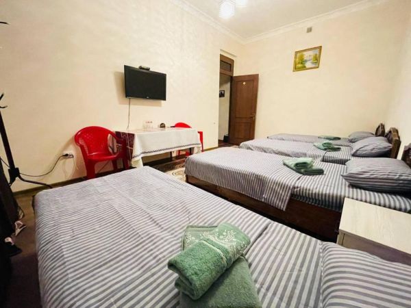 Sam Greenhouse Hostel