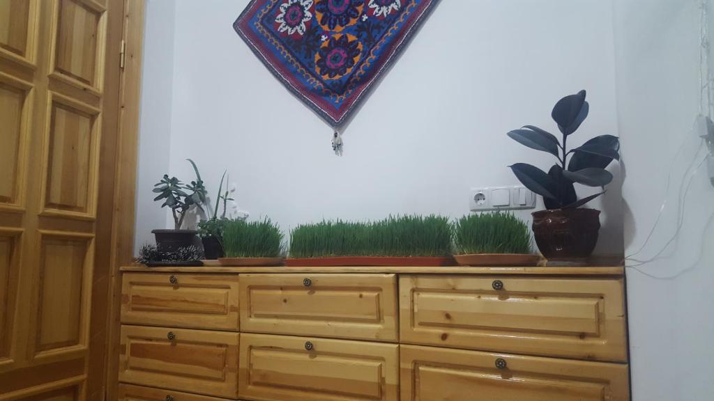 Amir Hostel