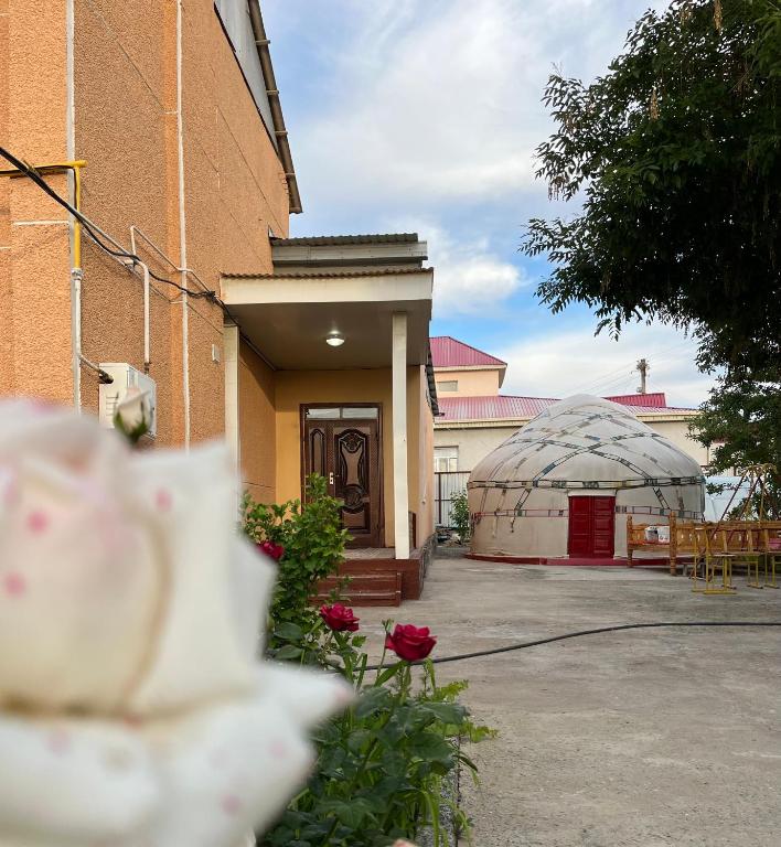 Nukus Guest House