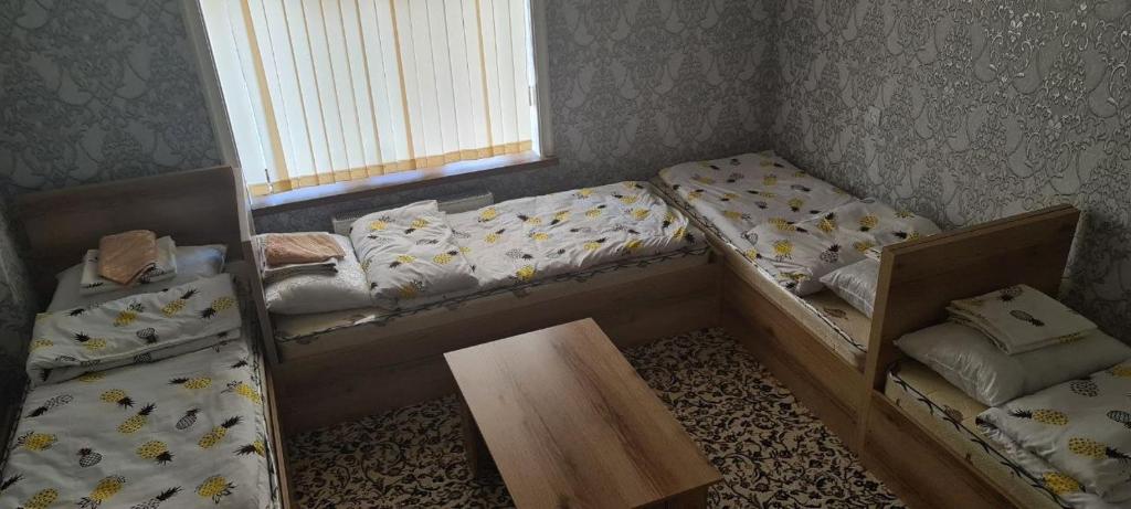 Sheykh Hostel