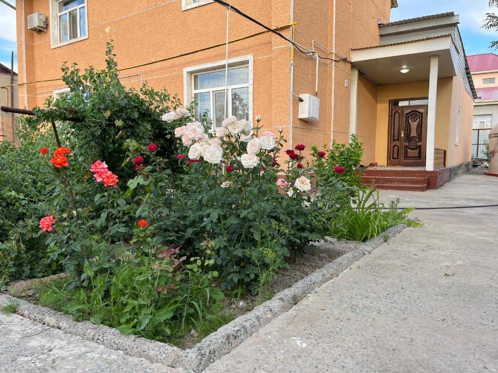 Nukus Guest House