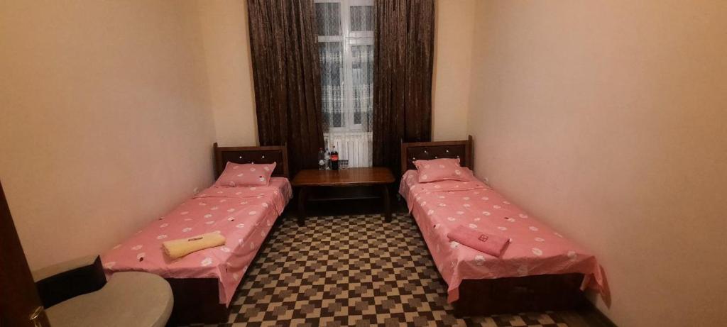 Sam Greenhouse Hostel