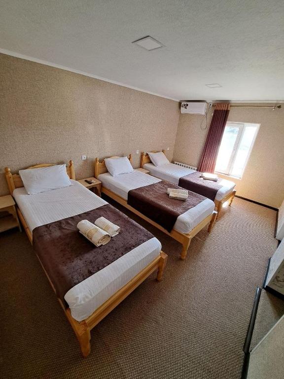 Alixan Guest House