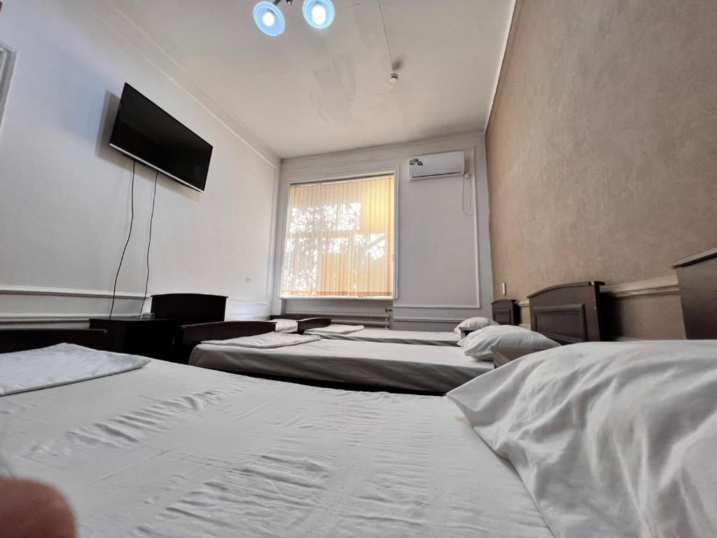 Assalom Hostel