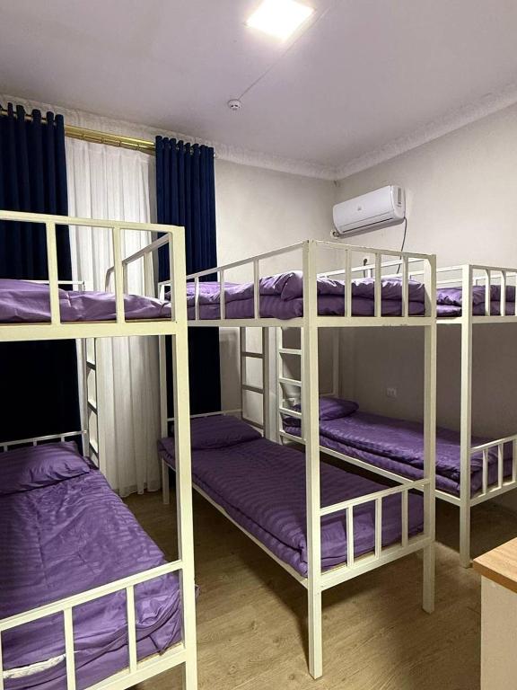 Hostel Danexan APA
