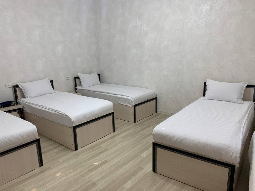 Chashma Hostel Samarkand