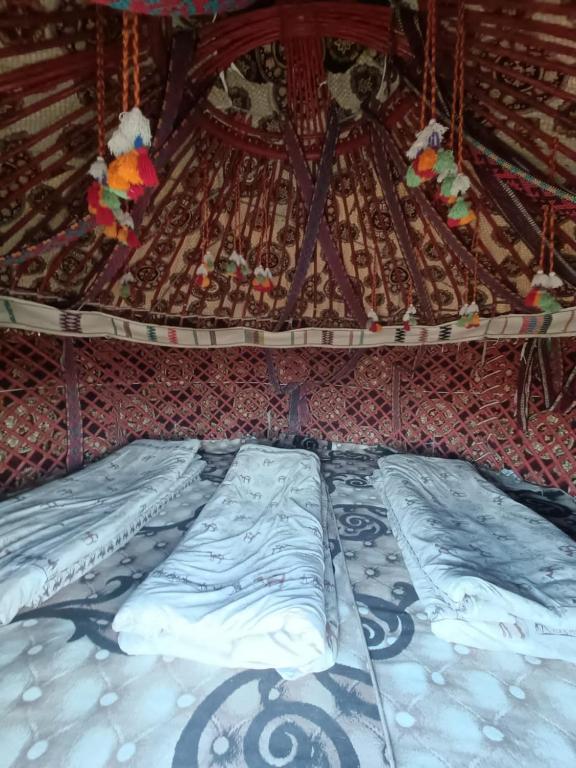 Kyzylkum Nights Camp & Family Yurt