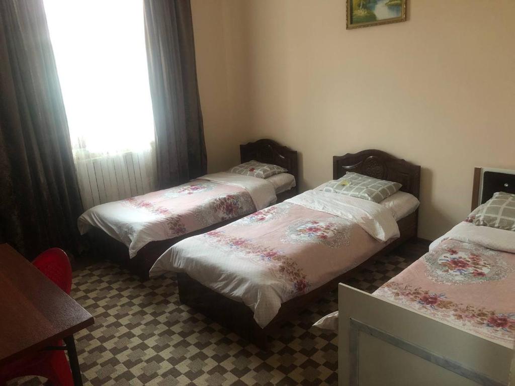 Sam Greenhouse Hostel