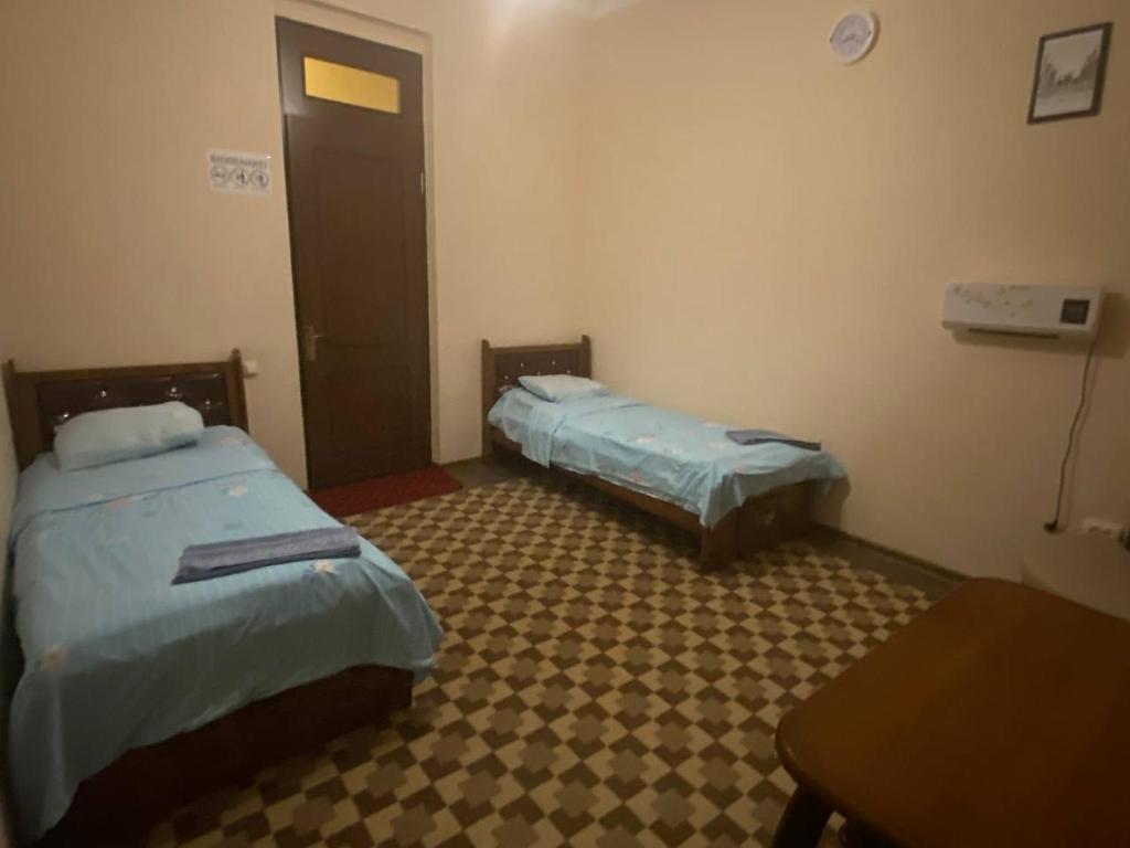 Sam Greenhouse Hostel