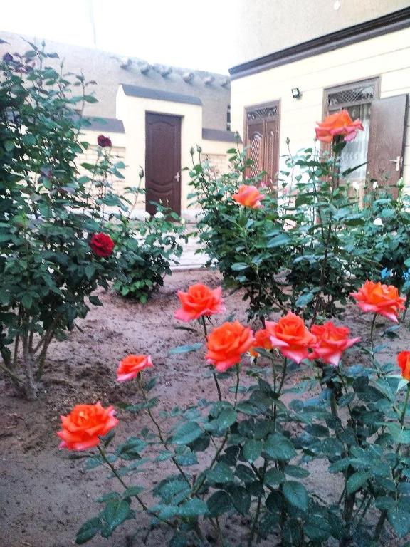 Shodlik Guest House