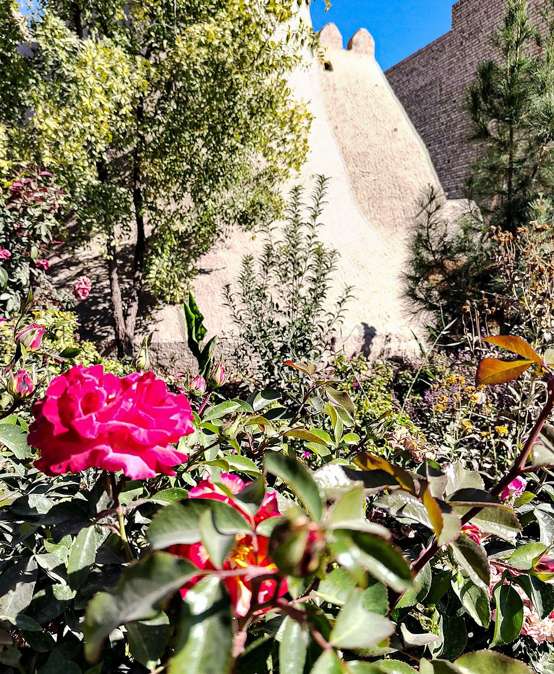 Khiva Angarik Darvoza