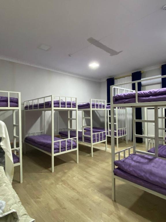 Hostel Danexan APA
