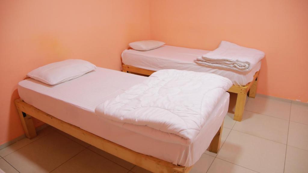 Healthy Hostel