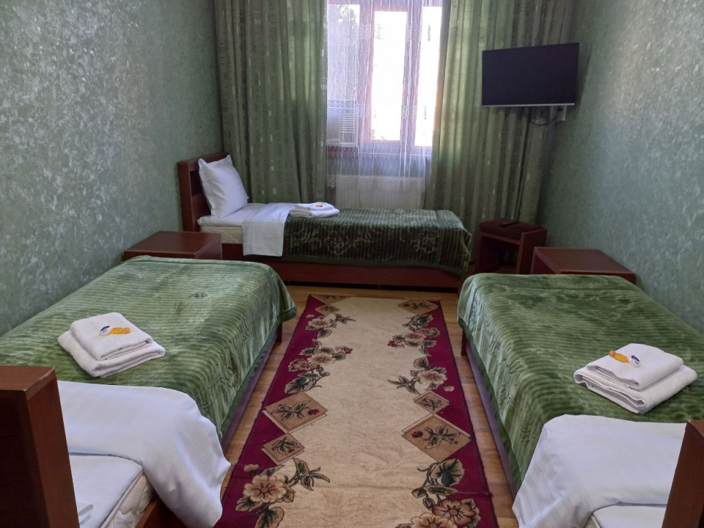 Aziz Mehmon Hotel