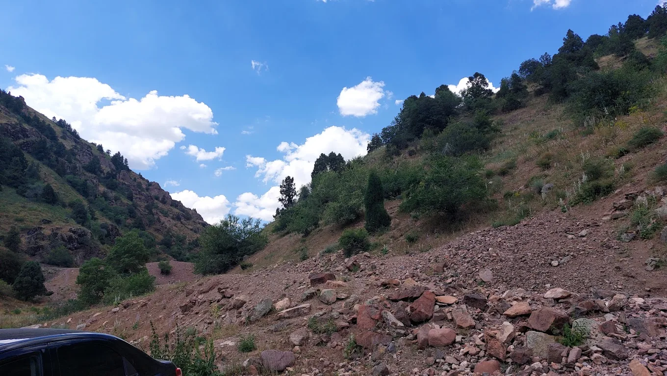 Дача Чарвак