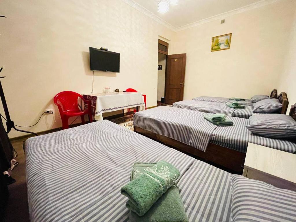 Sam Greenhouse Hostel