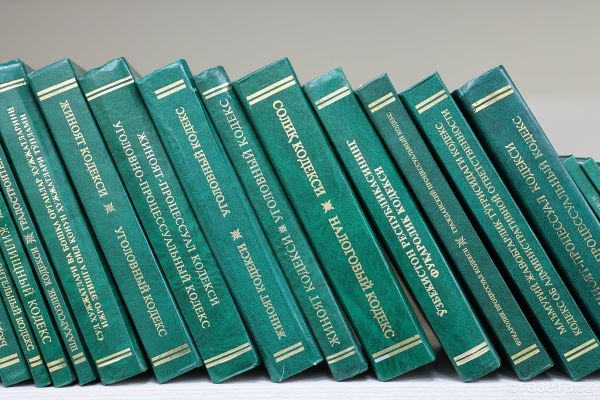 Колонка. Реформа административной юстиции: назревшие вопросы