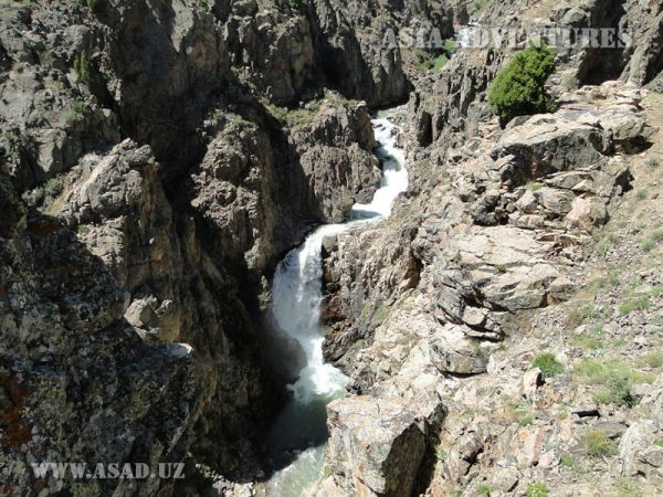 Chotqol tog‘-o‘rmon davlat biosfera qo‘riqxonasi