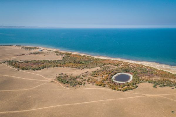 Арнасайские озёра