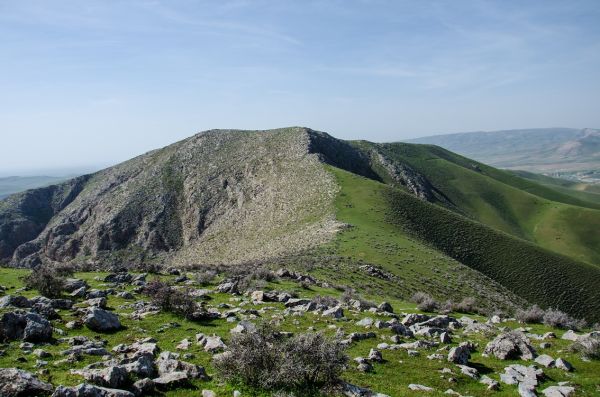 Наскальные рисунки и «камни очищения» в урочище Куруксай