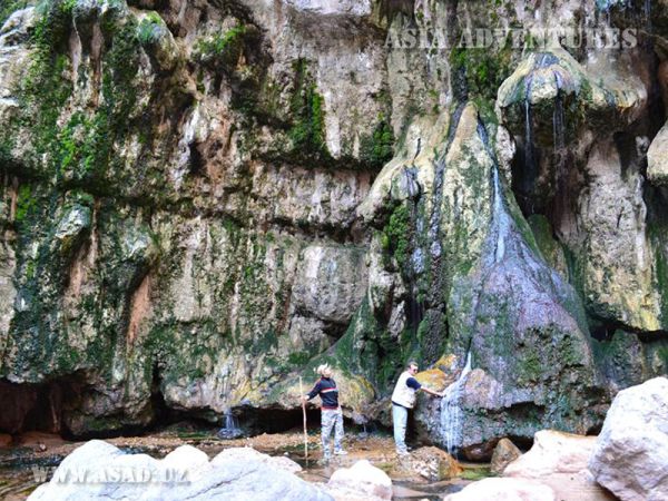 Surkhan State Nature Reserve
