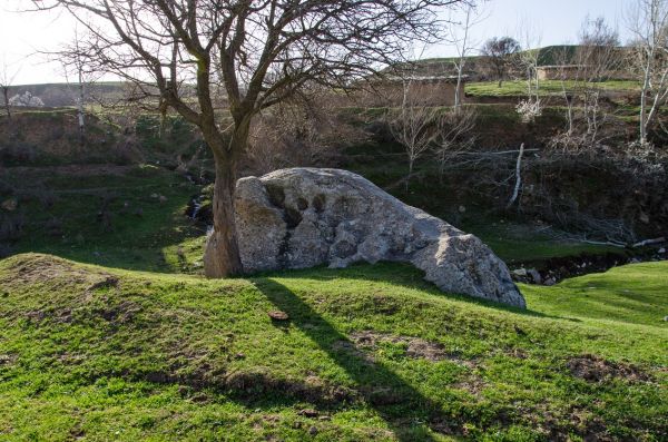 The Kalkaminsky reservoir and the mysterious stone with dinosaur tracks