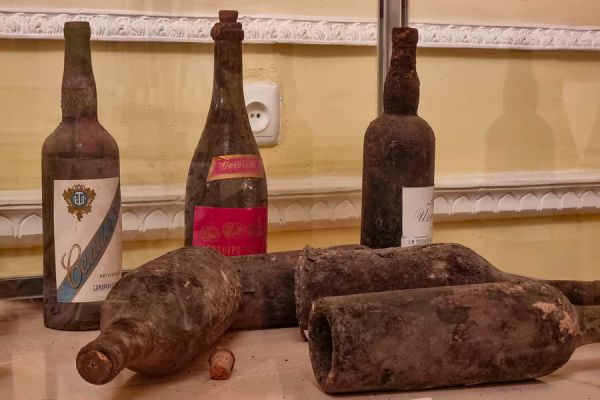 Samarkand wine tasting