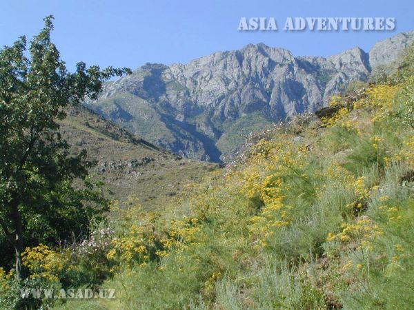 Нуратинский горно-орехоплодный государственный заповедник