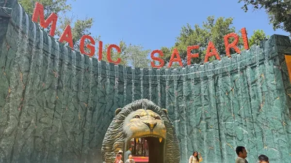 Magic Safari