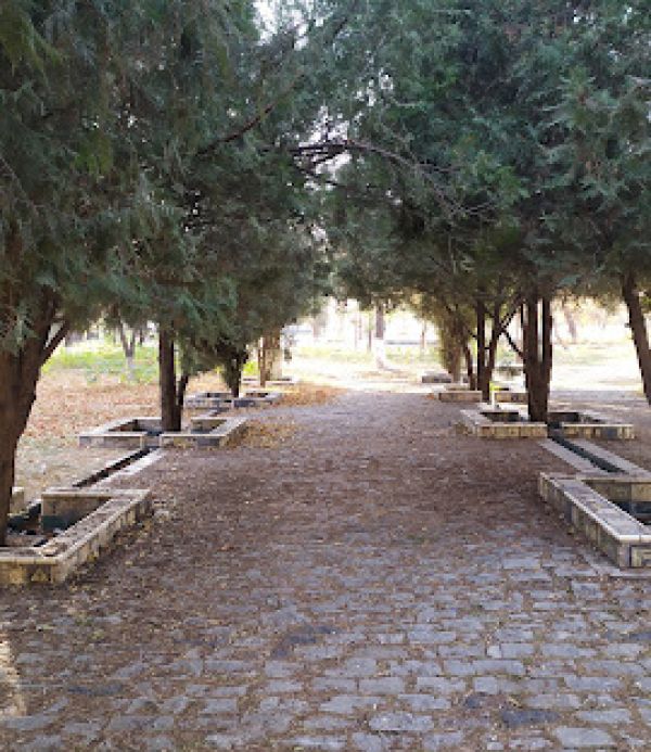 Парка мира Сиэтл