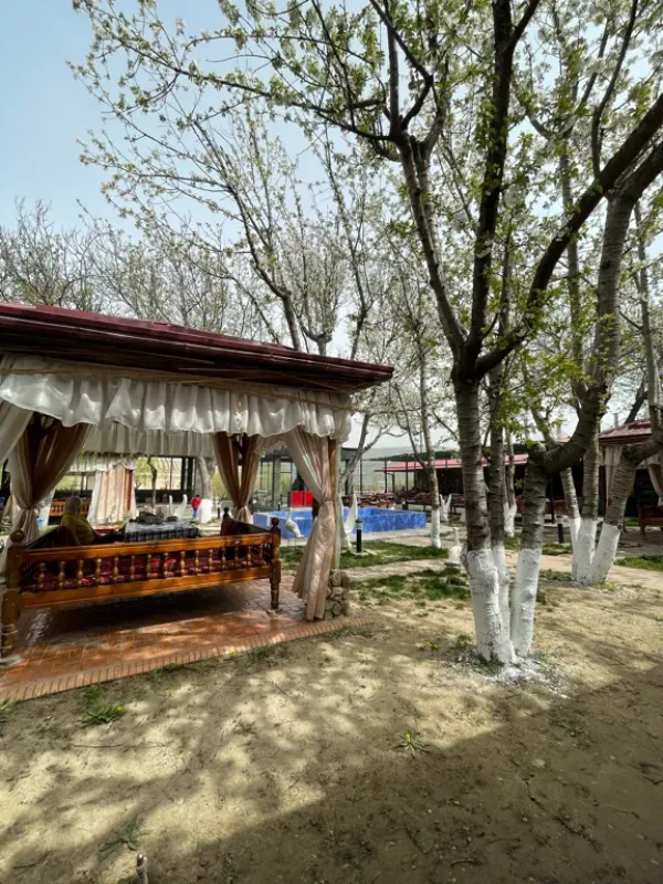 Mangal City