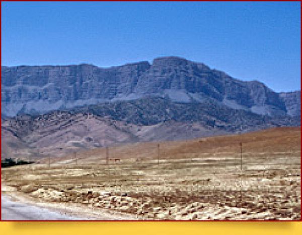 Surxon davlat qo'riqxonasi