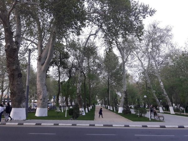 Университетский бульвар