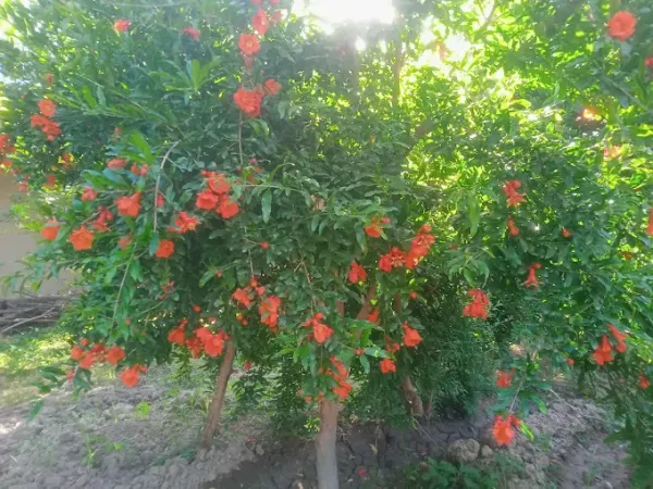 Kitaba National Geological Park