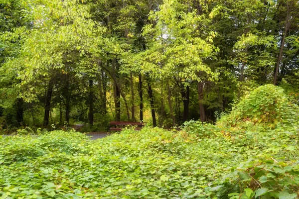 Ботанические сады