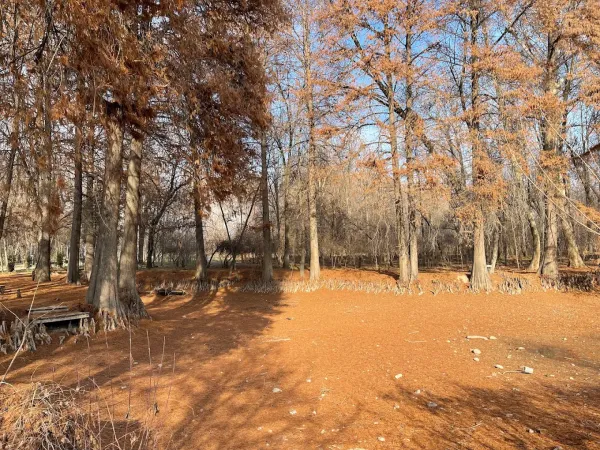 Ботанические сады