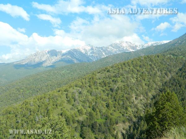 Zaamin National Nature Park