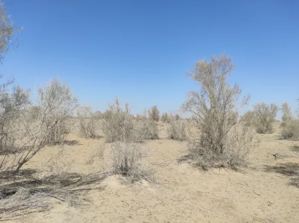 Ecological center "Jeyran"