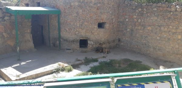 Ташкентский зоопарк