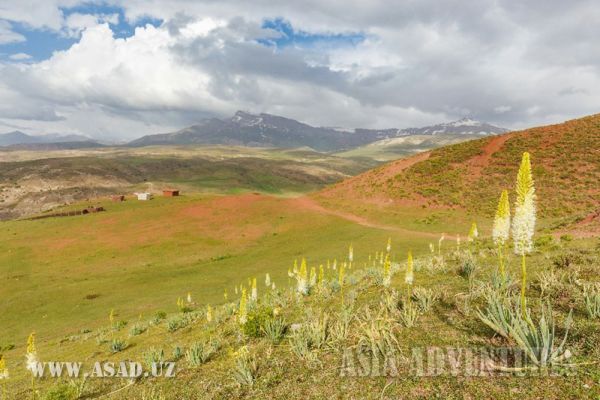 The Cave of Amir Timur