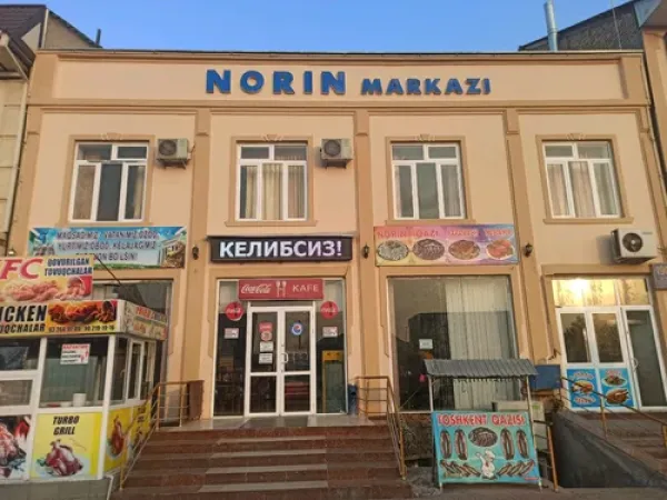 Norin