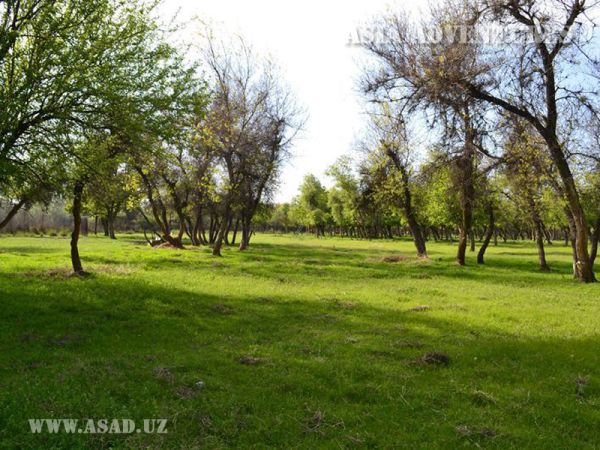 Зарафшанский долинно-тугайный государственный заповедник