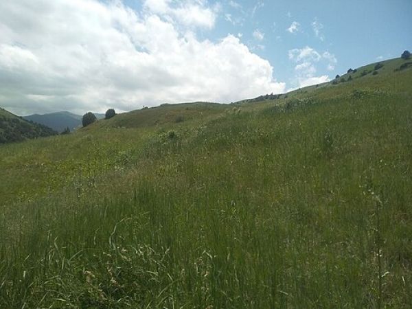 Нуратинский заповедник